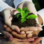 stock-footage-holding-a-plant-green-environmental-business-concept-with-person-in-nature-corporate-business-men